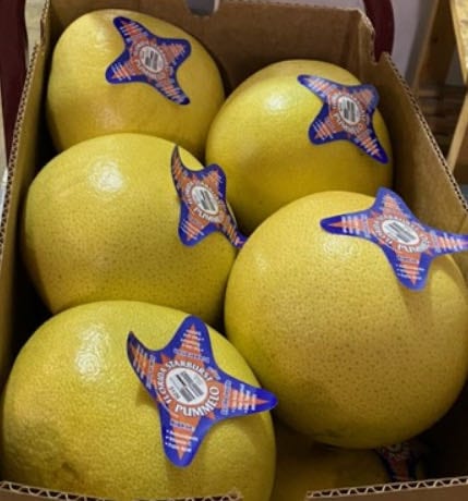 Pomelo (1pc) 大柚子– Kazy Japanese